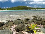 Playa La Plata - VIEQUES
